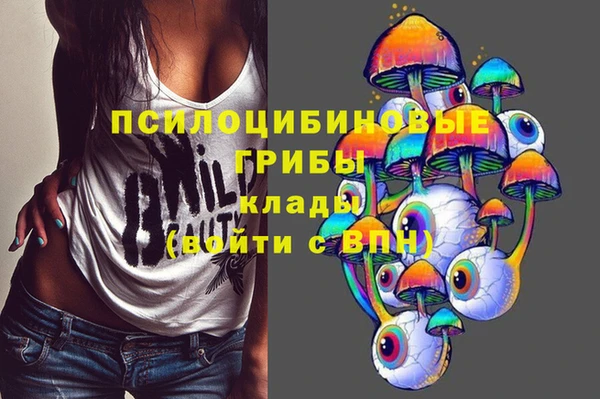 стафф Абаза