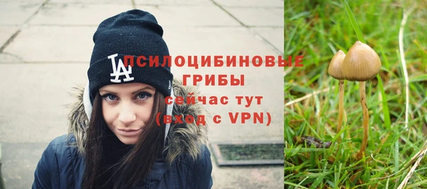 дурь Абинск