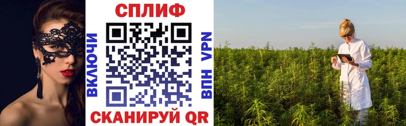 Каннабис семена  где купить наркоту  Шлиссельбург 